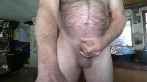 heeler66 online show from January 31, 7:55 pm