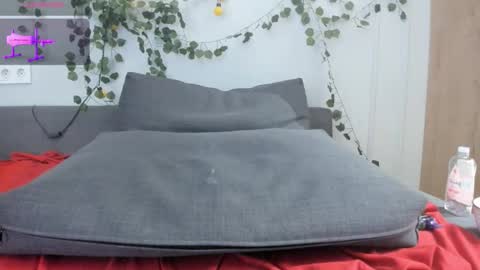 heexhia online show from November 16, 4:03 am