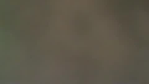 hellohowareyou66 online show from January 16, 1:58 am