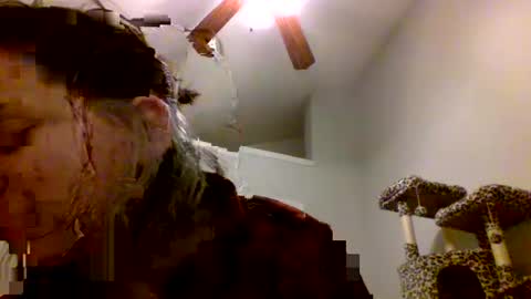 Piper online show from February 26, 1:00 pm