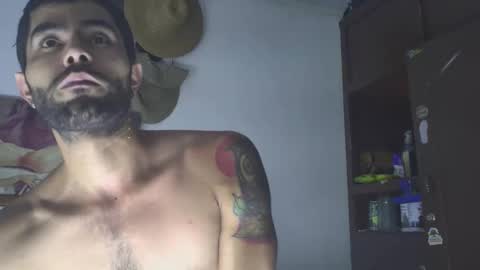 hideonbush online show from November 2, 2:11 am