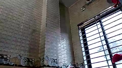 himuhimu22 online show from January 19, 5:06 am