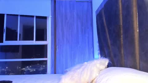 Mara online show from February 11, 3:29 am