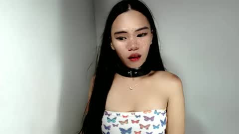 hollyhalo online show from November 19, 10:30 pm