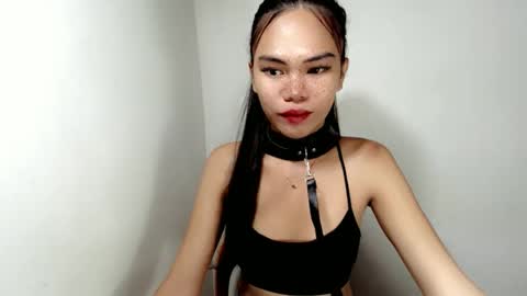 hollyhalo online show from November 15, 10:00 pm