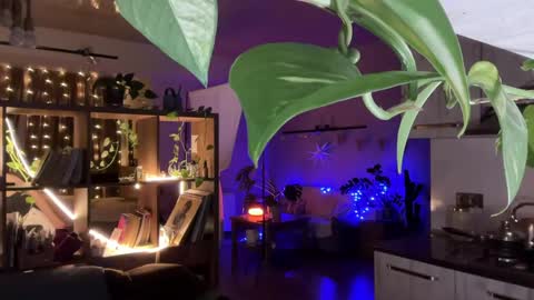 dori not holy get my tg channel with link from description under last photo online show from April 20, 7:50 pm