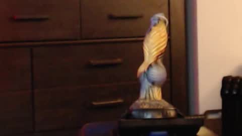 ItsReeleMe online show from February 8, 4:38 am