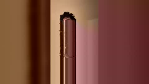 horneenbored online show from December 23, 5:02 am