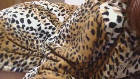 Serena online show from February 22, 10:20 pm