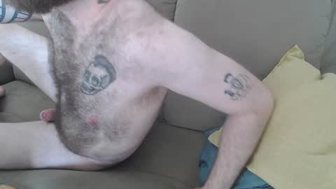 Snapshot of hornyhairy_bi chatting on January 16, 6:37 pm Harry online show from January 16, 6:37 pm
