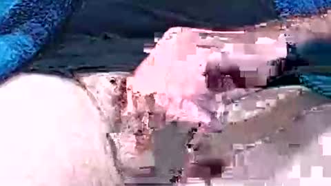 Hotcam50 online show from October 12, 4:53 pm