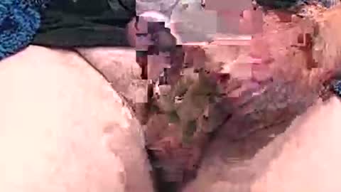 hotcam96 online show from December 15, 3:31 pm