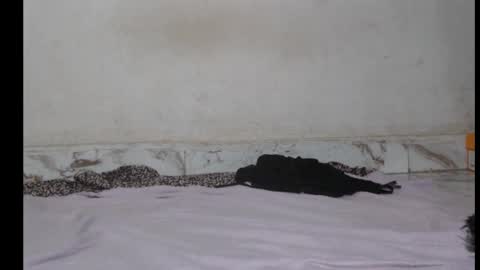 hottylissa1 online show from September 14, 3:09 am