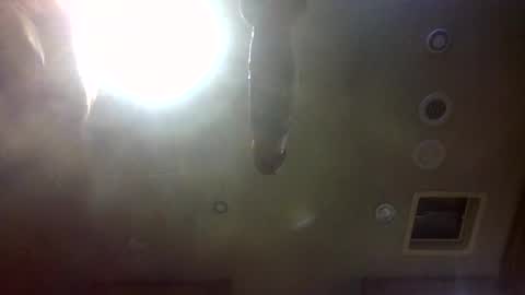 hoytme online show from October 21, 7:46 am