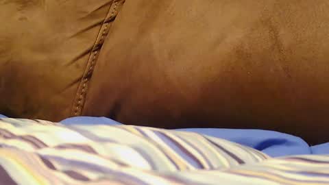 BigFTMdick online show from December 9, 6:01 am