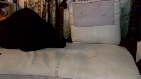 huippari online show from December 8, 10:30 am