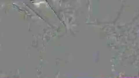hung_19_fit online show from June 18, 3:06 pm