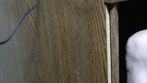 hungsofine online show from December 18, 3:44 pm