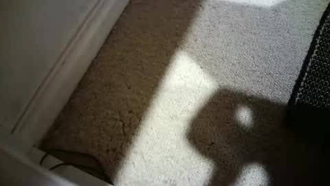 Hypeman online show from February 18, 8:36 am