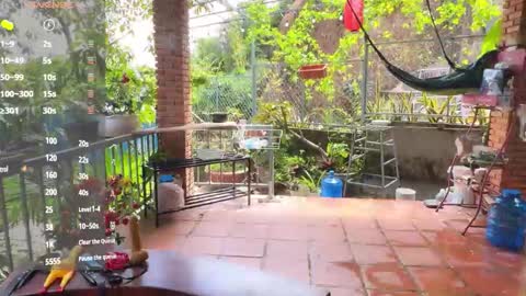 Your submissive lady 3 online show from October 18, 4:05 am