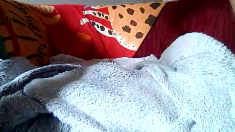 iainmo online show from February 27, 11:47 am