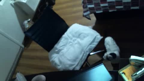 PMS online show from November 5, 6:15 am