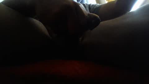 icecreamman6986 online show from January 1, 8:15 pm