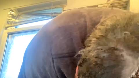 icums4u online show from January 26, 10:34 am