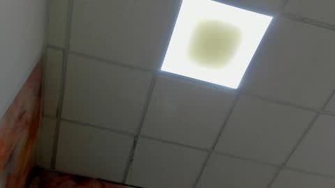 Idiris online show from March 8, 5:54 pm