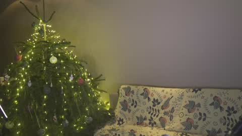 Belle online show from January 4, 4:11 pm