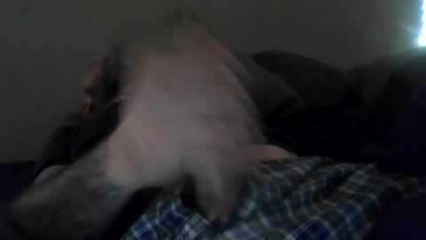 ilikebigbutts818 online show from March 12, 2:01 pm