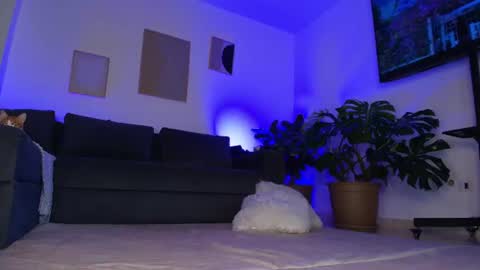 Eli  online show from June 29, 2:08 am