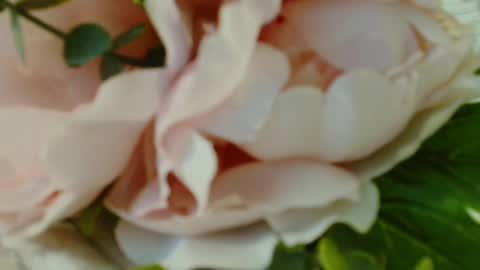 Carrie online show from March 1, 7:15 pm