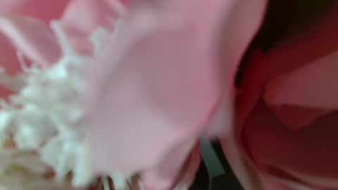 Carrie online show from February 25, 5:19 pm