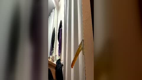 Dirty Sissyslut online show from June 28, 7:59 am