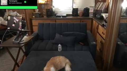 Carter online show from September 30, 6:35 am