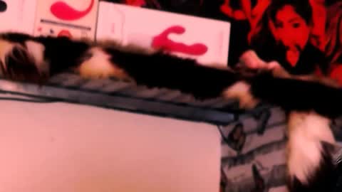 Bella Ambrosia online show from November 24, 12:31 am