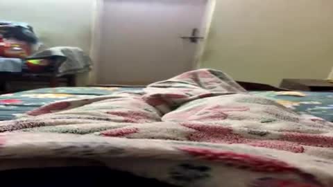 Indianboy online show from August 4, 5:09 pm