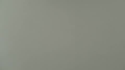 priya online show from November 17, 7:00 am