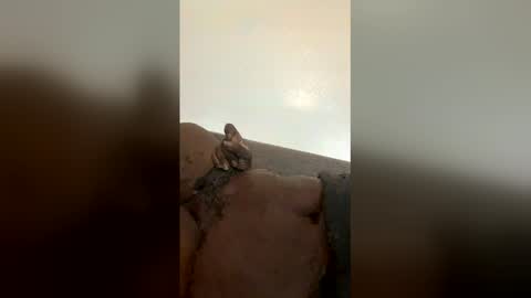 ineedtocumrnbb online show from March 30, 6:30 pm