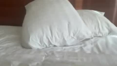iperveharder online show from July 5, 8:43 am