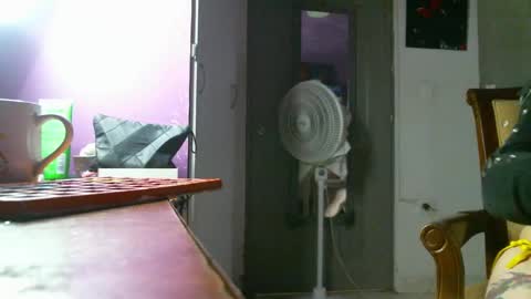 Snapshot of irisbell_ chatting on December 22, 1:55 pm Camilla online show from December 22, 1:55 pm