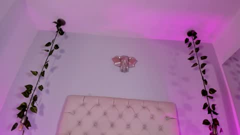   online show from November 18, 9:18 pm