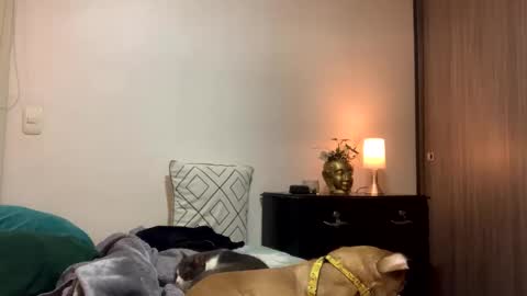 Isa online show from October 10, 12:16 am