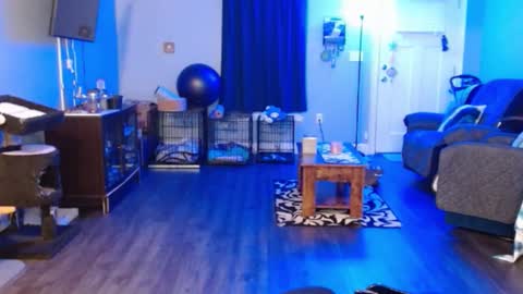 Bella Bloom online show from February 2, 6:14 am