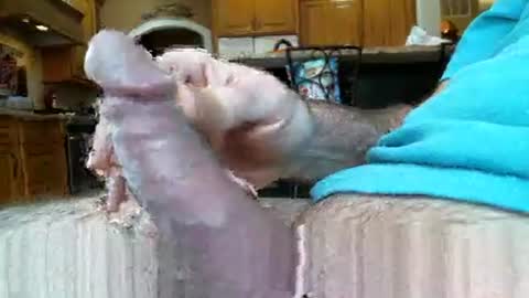 itsxxxtc online show from February 2, 9:11 pm