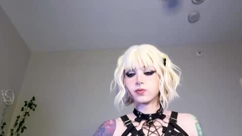 Ivey and James online show from February 13, 10:24 pm