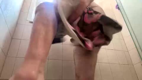 iwearpantyhosedaily online show from October 6, 5:53 pm