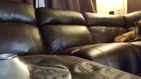 jacebribianca online show from March 14, 7:45 am