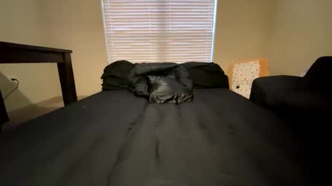 Jack Xavier  Missy online show from December 16, 8:59 pm